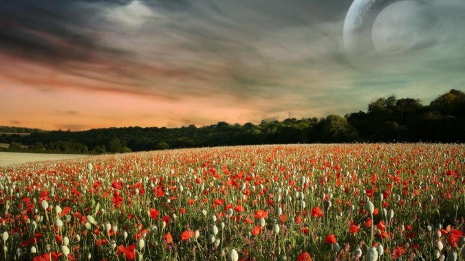 有些家长可以恶心到什么程度?